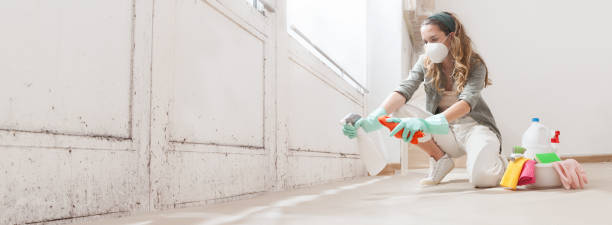 Best Attic Mold Removal  in Shrewsbury, PA